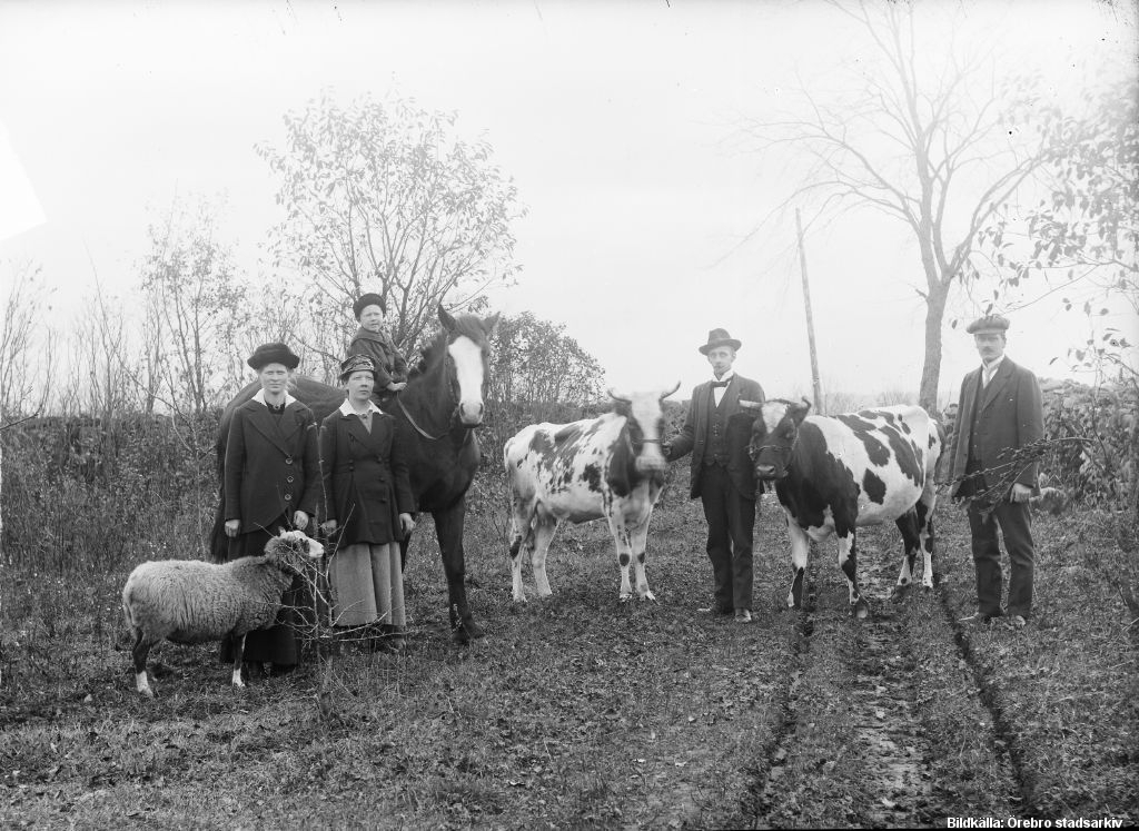 Två kvinnor, två män och ett barn på en landsväg med ett får, en häst och två nötkreatur. Barnet rider på hästen.